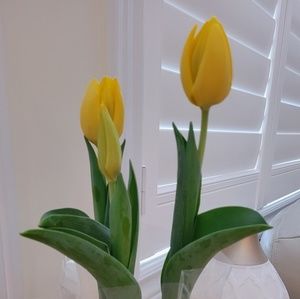 Meet your Posher, Julia